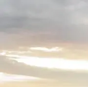 こたの画像