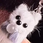 もふ【お値下げ交渉承ります】の画像