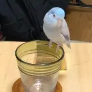 バナナ