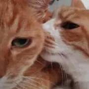 みちょりるの画像