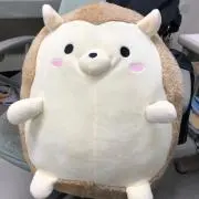 sukaniaの画像
