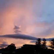 りりの画像