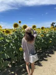 Aiの画像