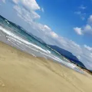 せなの画像