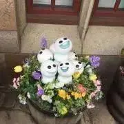 ぽーの画像