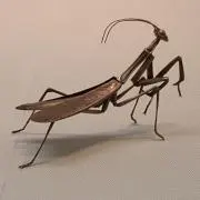とーーちの画像