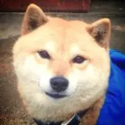 ぜらにうむ