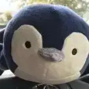 ぺんこの画像