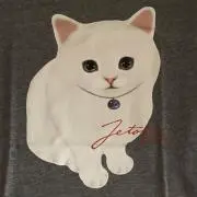 さささの画像