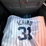 Tの画像