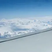 ぽんの画像