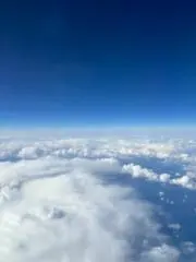 ynynの画像