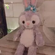 ばやしの画像