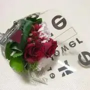 w.py&mltの画像
