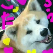 ★ナツ723★プロフ見てください！