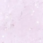 キキの画像