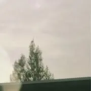 ✴︎の画像