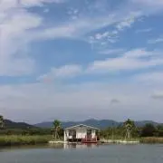 バーバリーの画像