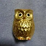 たむたんの画像