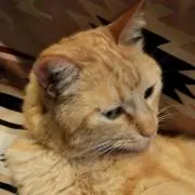 だだみつプロフ必読m(_ _)m