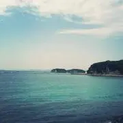 ゆゆ6412の画像