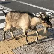 kb（無断転載禁止、無言取引でもOK）の画像