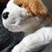 JOYJOYの画像