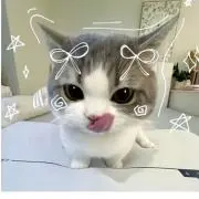 どきんちゃんの画像