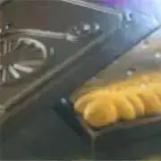 レイチェルの画像