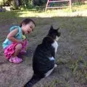 ねこ
