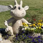ラッコの画像