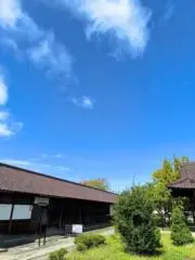 ｍｇ【mini便以外土日発送プロフ必読】の画像