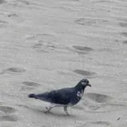 誰よりも値下げに優しいの画像