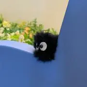 くろすけの画像