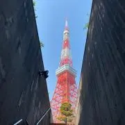SAUの画像