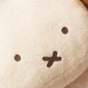らっこの画像