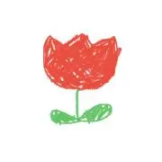 ちゅーりっぷ組の画像