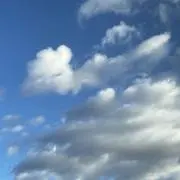 あんどーなつの画像