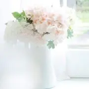 moco.の画像