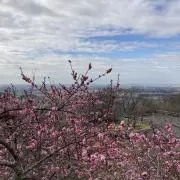 あずき　自己紹介文を確認してくださいの画像