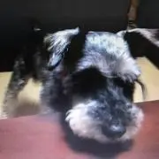 maの画像