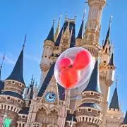 Ohana՞༘⋆の画像