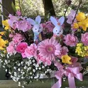 ましゅまろんの画像