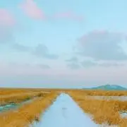 naoの画像