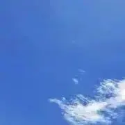 ぽとす　プロフ必読の画像