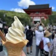 よしの画像