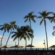 moyoの画像