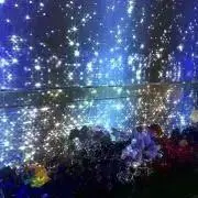 ここりんごべるの画像
