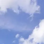 m.の画像