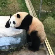 t∈r∪の画像